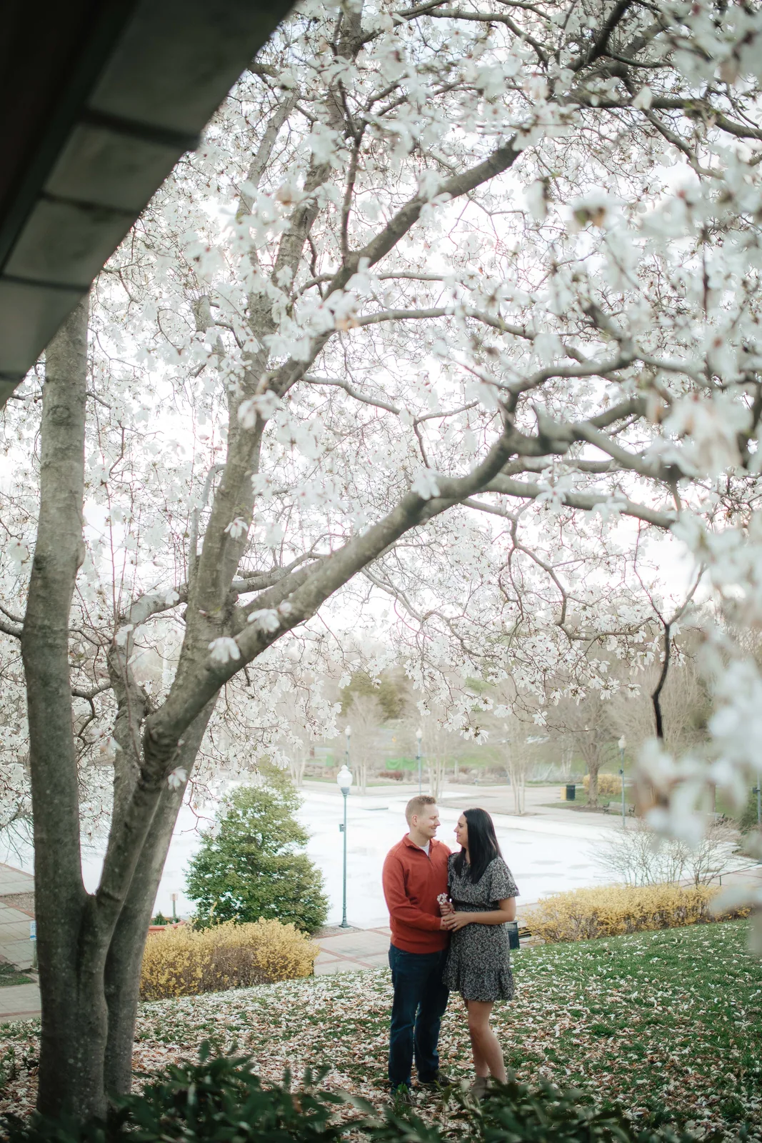 Anniversary photography by Precious Pics