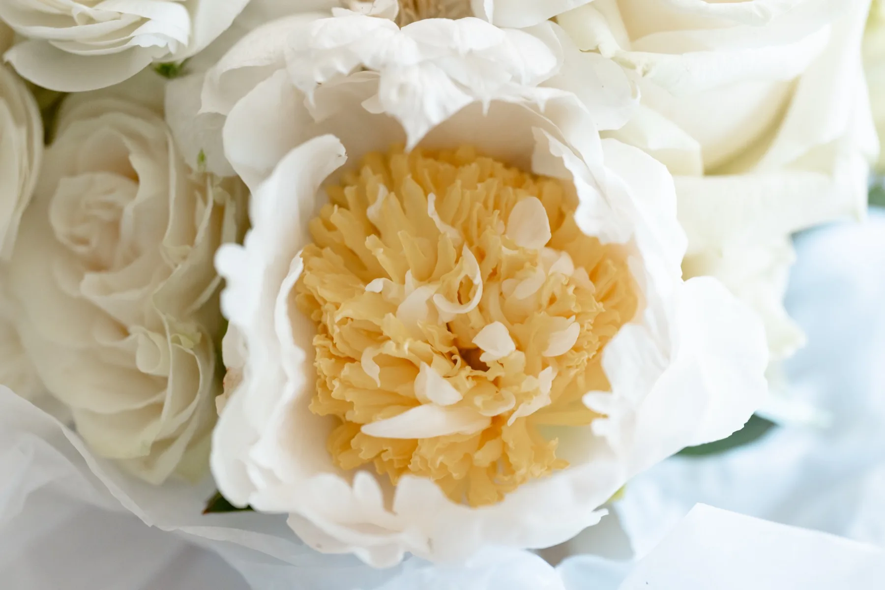 Los Angeles & SoCal wedding photography by Precious Pics