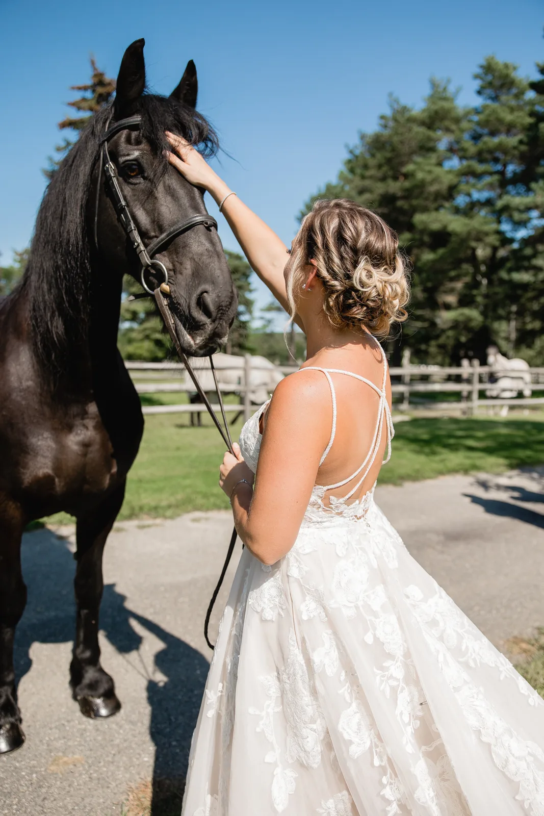 Boston & New England wedding photography by Precious Pics