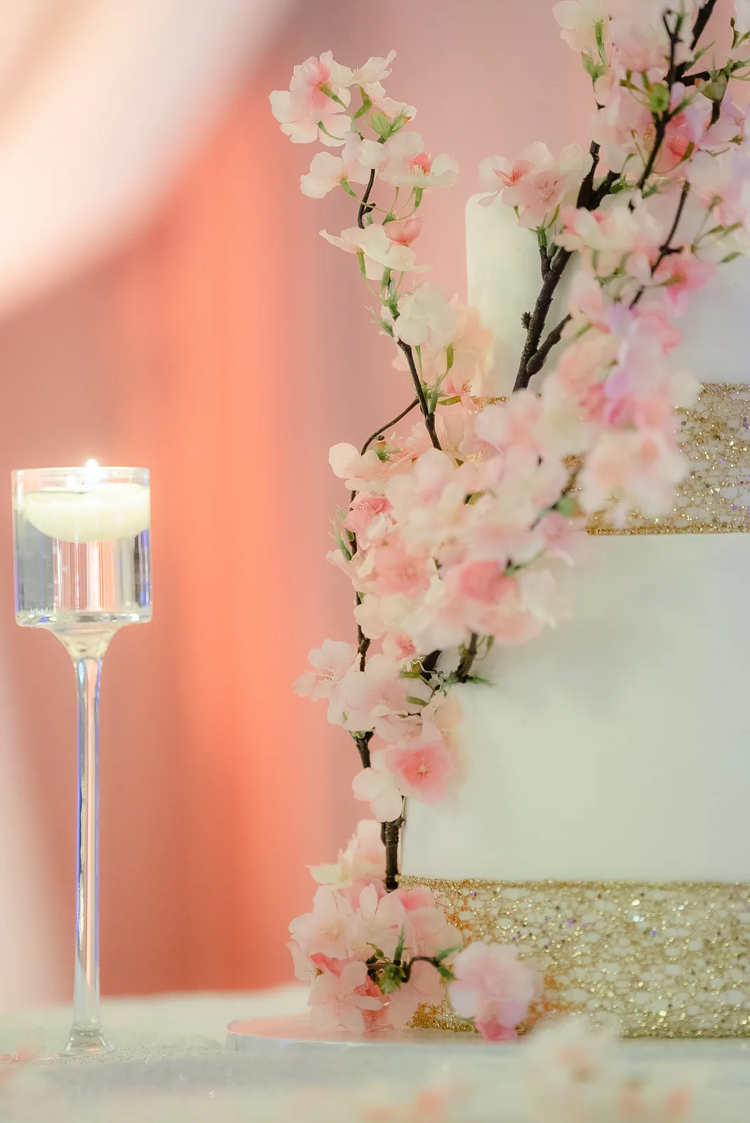 NY Tri-State wedding photography by Precious Pics